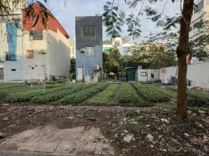 🔥 CHÍNH CHỦ CẦN BÁN LÔ ĐẤT TRUNG TÂM VÕ CƯỜNG – BẮC NINH