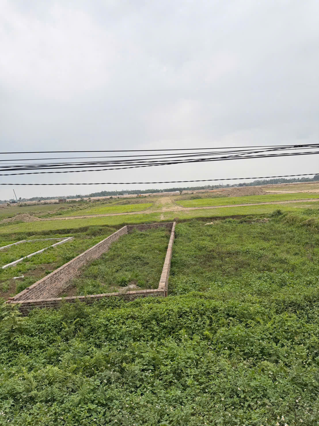 652223692_912067078311718_2410386802481842266_n