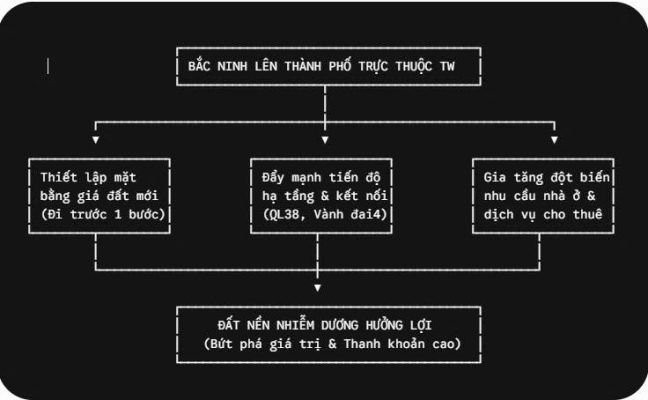 Sơ đồ lợi ích của Nhiễm Dương